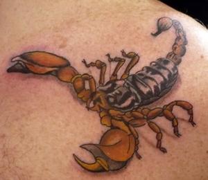 Scorpion