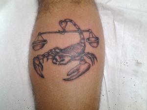 scorpion , balance
