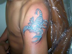 Scorpion bleu