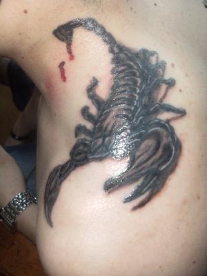 scorpion réaliste