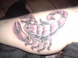 Scorpion réaliste en noir et blanc