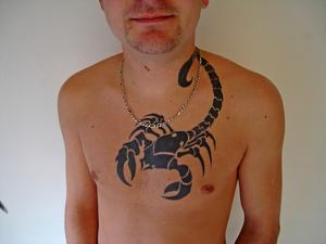 Scorpion stencil