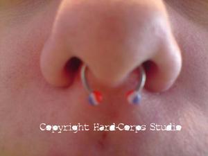 Septum