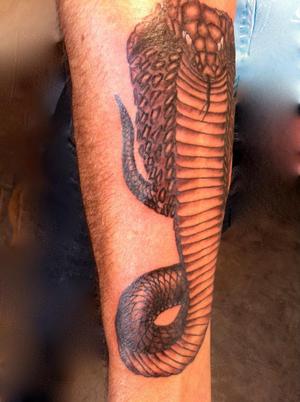 Serpent cobra royal