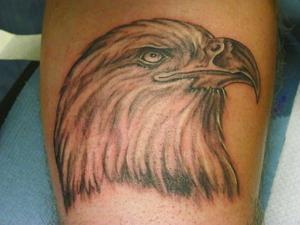 tête d'aigle