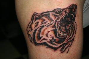 Photo de Tête d'ours, animaux, tatouage