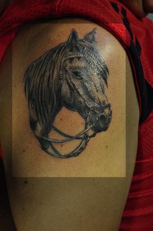 Tête de cheval