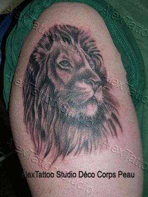 Photo de Tête de lion, lion, fauve réalisé par Déco Corps Peau