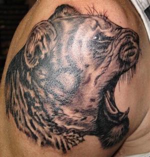 Tête de lionne