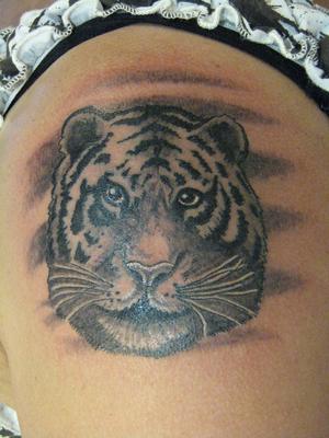 tete de tigre