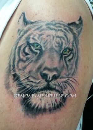 Tête de tigre