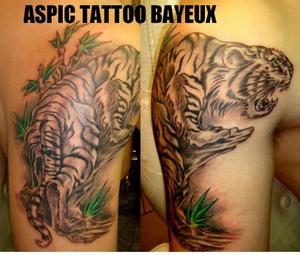 Photo de tigre, félin, savane réalisé par Aspic  Tattoo