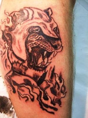 tigre