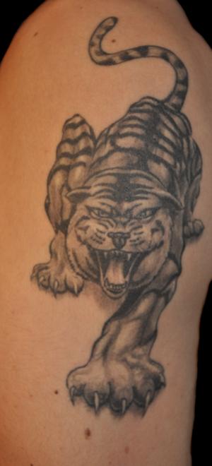 Tigre à l'attaque