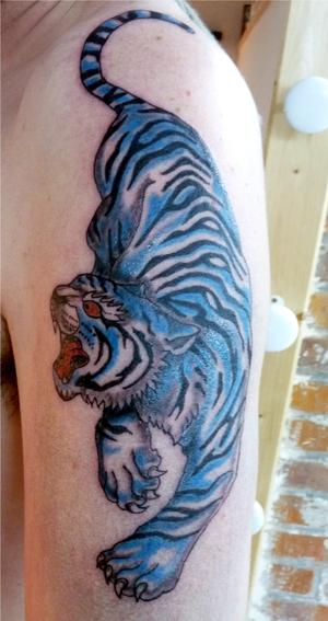 tigre bleu