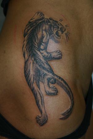 tigre noir et gris