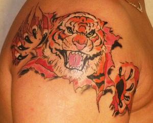 tigre qui déchire la peau