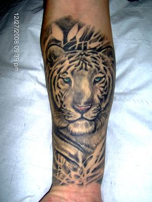tigre réaliste