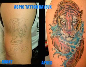 tigre