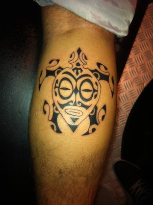 Tortue maori
