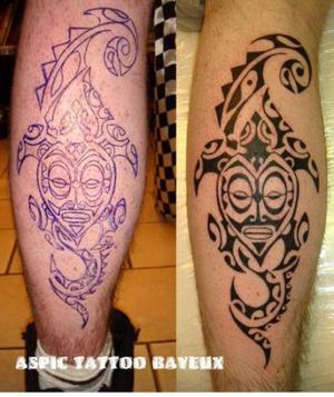 tortue maori