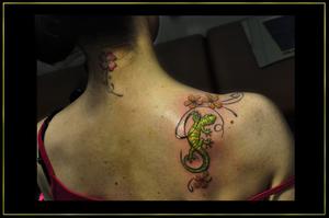 Tréfle et Gecko en couleurs