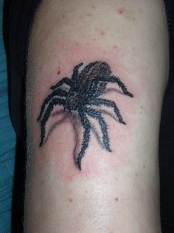 Photo de araignée, animaux, tatouage réalisé par Jeanjean Tatouage