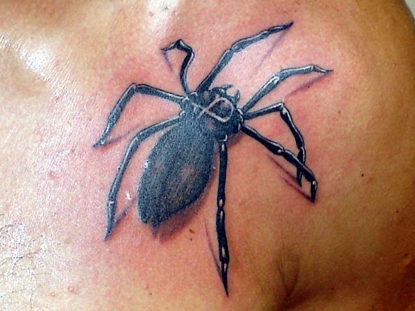 Photo de araignée réaliste, réaliste, araignee réalisé par Bodygraphic
