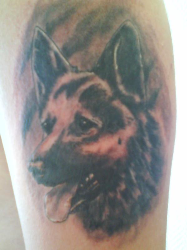 berger allemand