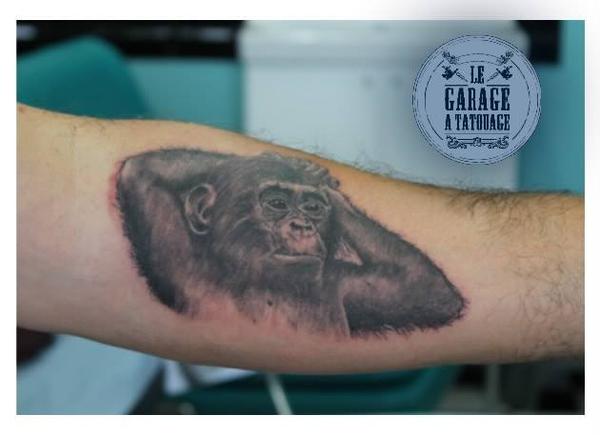 Photo de bonobo, tattoo, animaux