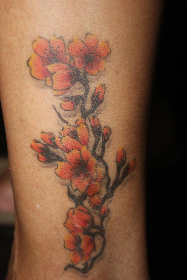 Photo de Branche de cerisier réaliste couleur, réaliste, couleur réalisé par Bodygraphic