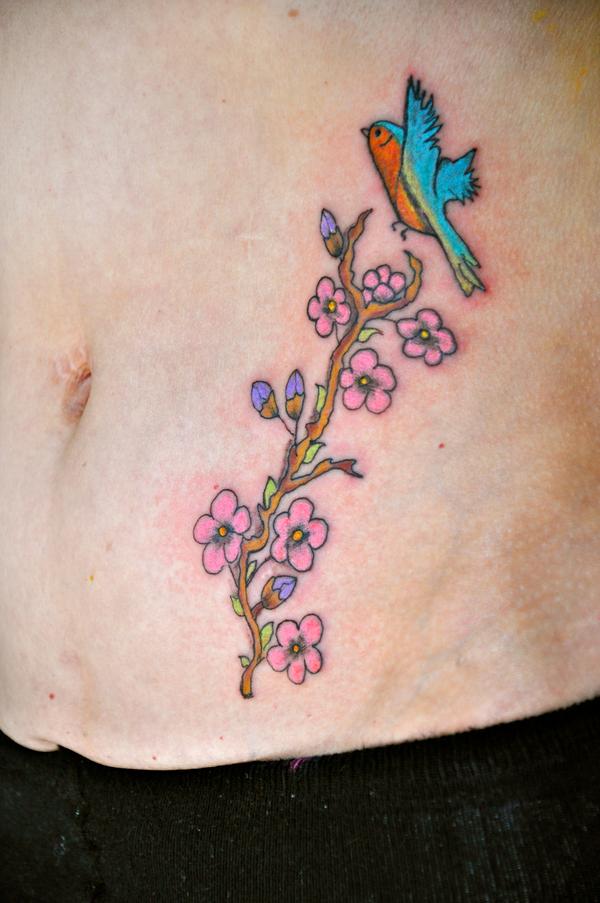 Branche oiseau