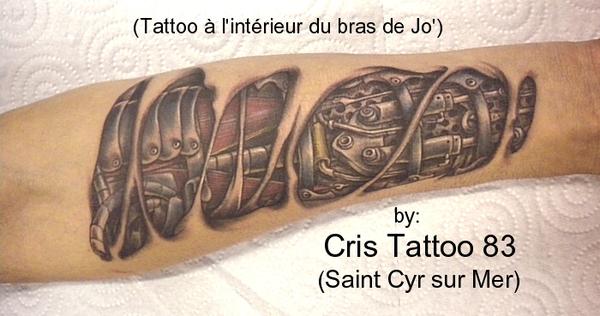 Bras Biomécanique
