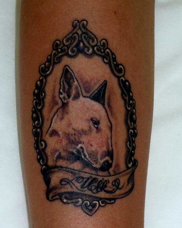 Photo de bull terrier, animaux, tatouage réalisé par Body Titane