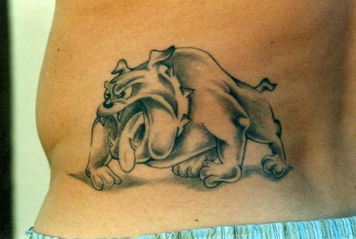 Bulldog marrant
