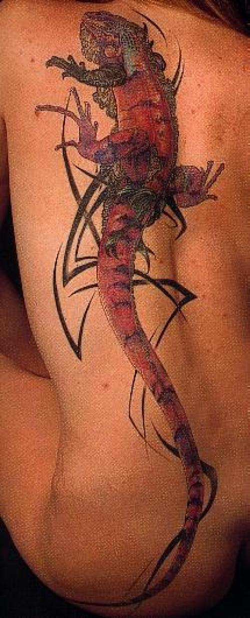 Photo de Caméléon réaliste et tribal, tribal, réaliste