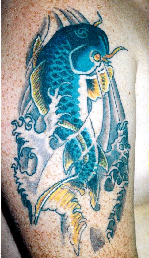 Photo de carpe japonaise, carpe, poisson