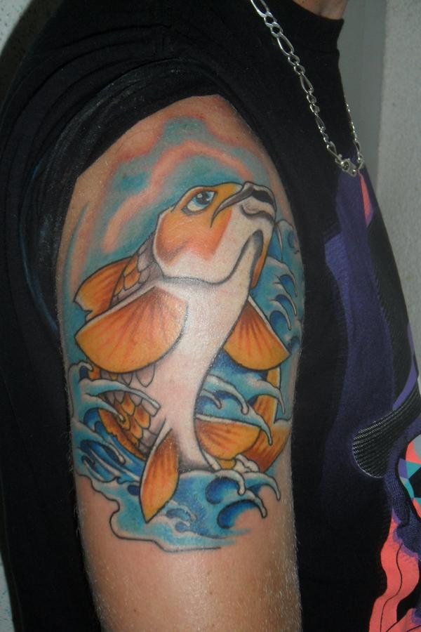 carpe koi