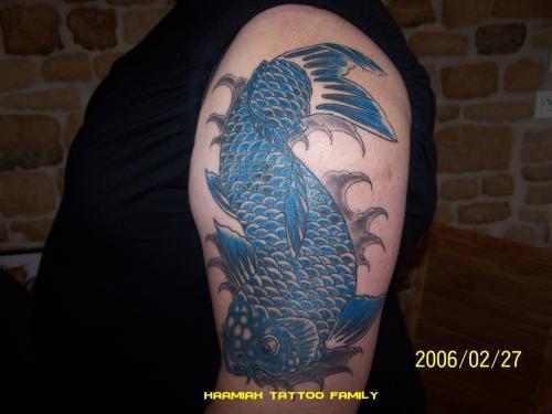 carpe orientale bleue