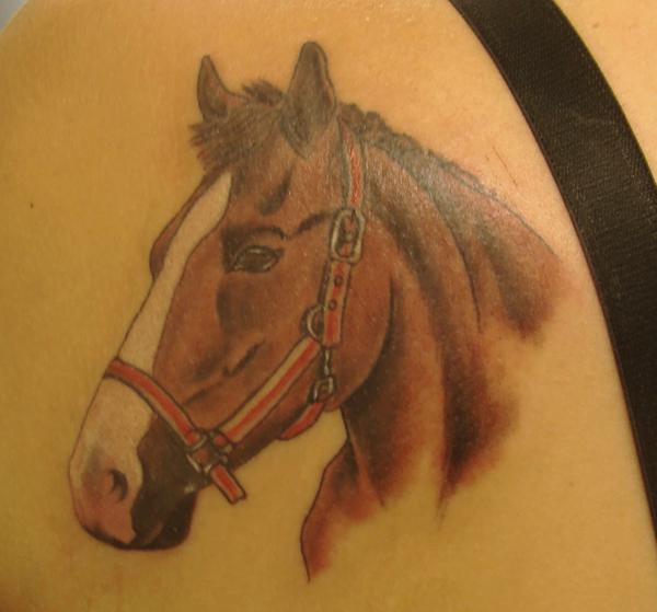 Photo de cheval réaliste, cheval, animaux réalisé par inkyblood