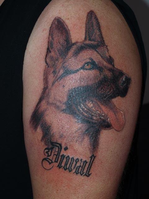 Chien