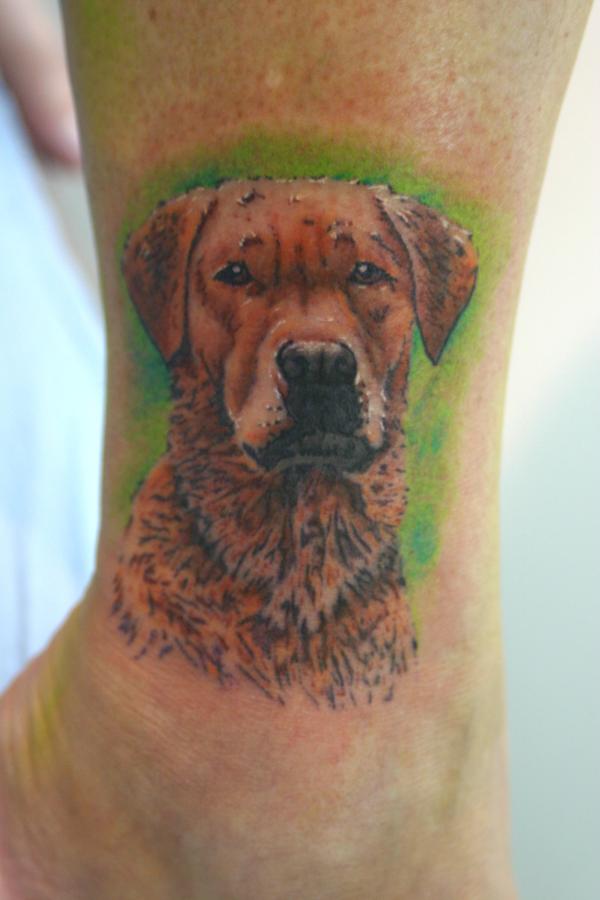 chien réaliste en couleur