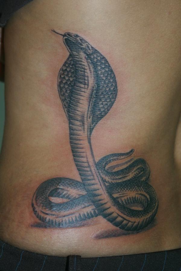 cobra réaliste