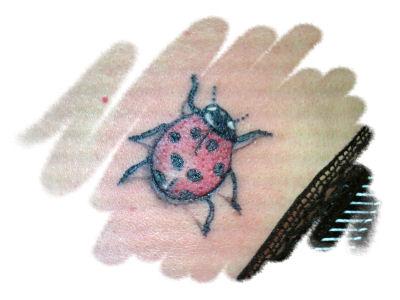 Photo de Coccinelle, insecte, animaux réalisé par Black Roses Tattoo