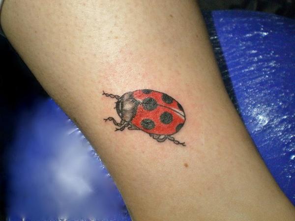Photo de Coccinelle, animal, animaux réalisé par Azae Tattoo