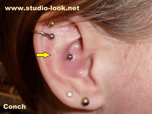 Conch