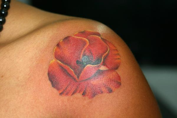 Photo de coquelicot, fleur, fleurs réalisé par Bodygraphic