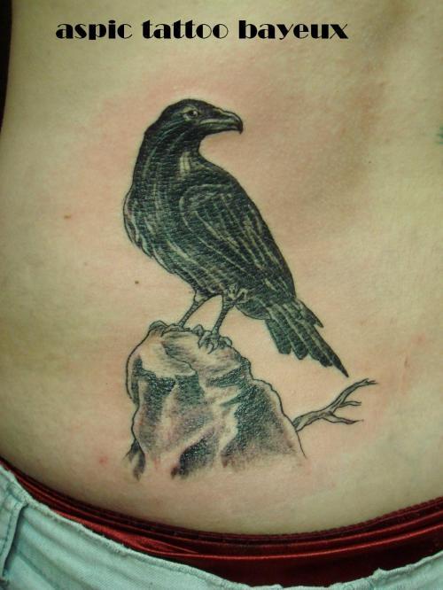 Corbeau noir