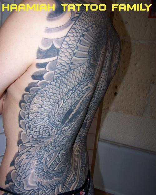 Dragon de profil