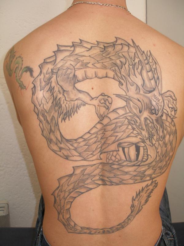 Photo de dragon médiéval !!, dragon, animaux réalisé par Art-eternel